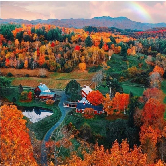 N/A - Picture 1 of 1